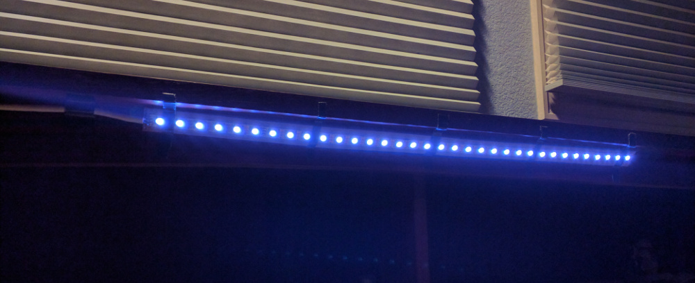 LED strip lit